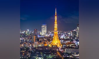 クリスマスディナーは特別なお店で。...