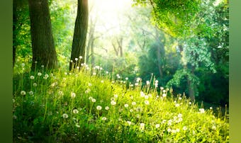 【2024GW】日帰り旅行できる穴...