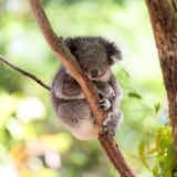 【東京】動物園デートにおすすめのスポット5選+α