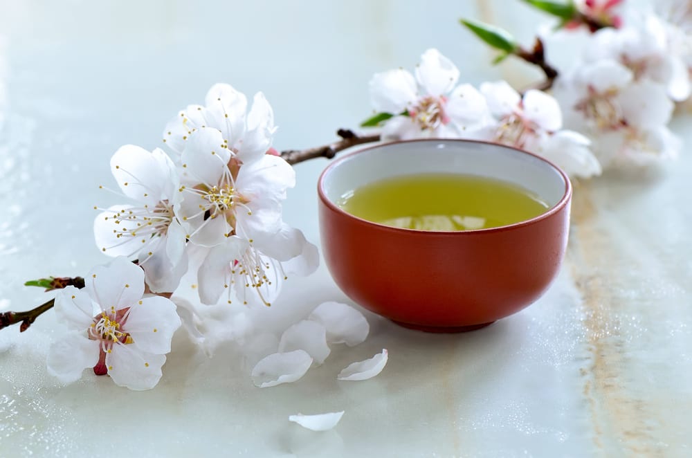 湯呑みのプレゼント10選。名入れのギフトでセンスある贈り物を